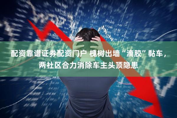 配资靠谱证券配资门户 槐树出墙“滴胶”黏车，两社区合力消除车主头顶隐患