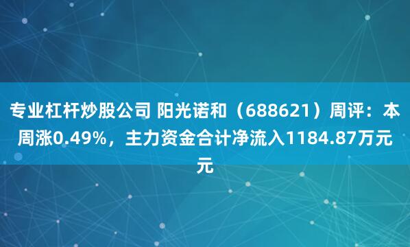 专业杠杆炒股公司 阳光诺和（688621）周评：本周涨0.49%，主力资金合计净流入1184.87万元
