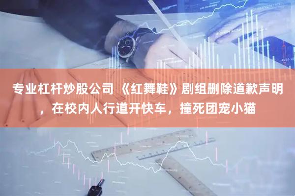专业杠杆炒股公司 《红舞鞋》剧组删除道歉声明，在校内人行道开快车，撞死团宠小猫