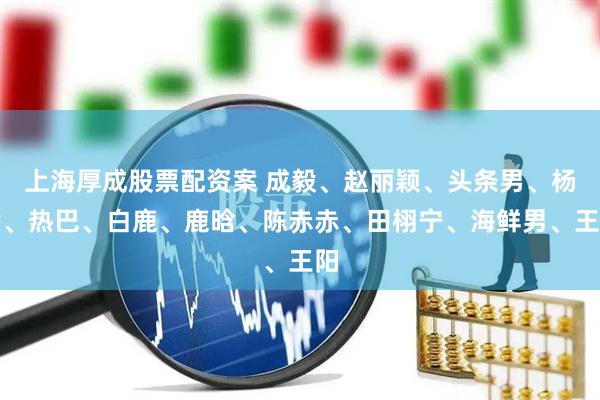 上海厚成股票配资案 成毅、赵丽颖、头条男、杨紫、热巴、白鹿、鹿晗、陈赤赤、田栩宁、海鲜男、王阳